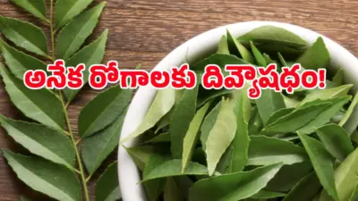 రోజూ ఉదయాన్నే కరివేపాకు నమిలితే జరిగే అద్భుతం ఇదే!