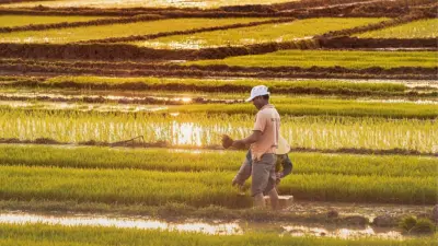 Rice Capital |இந்தியாவின் அரிசி தலைநகரம் என அழைக்கப்படும் மாநிலம் எது?