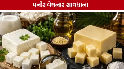 પનીર વેચનારાઓ માટે મોટા સમાચાર: મહારાષ્ટ્રમાં એનાલોગ પનીર પર સંપૂર્ણ પ્રતિબંધ, નિયમ તોડશો તો થશે કડક કાર્યવાહી