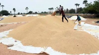 యాసంగి ధాన్యం కొనుగోళ్ల ముప్పుతిప్పలు!