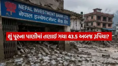નેપાળમાં ભોટેકોશી નદીના પૂરથી ભારે તબાહી: 17 બેંક શાખાઓ ક્ષતિગ્રસ્ત, 35 કર્મચારીઓ ગુમ