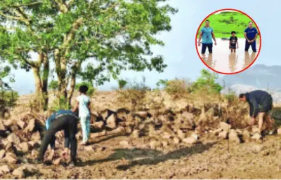 हातांनी रचले दगड. कष्टाने जपले पाणी.मृत तळ्याला घामातून दिली नवसंजीवनी; थोरल्या डोंगरावर श्रमदानाचा जागर
