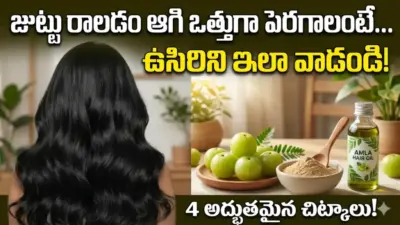 చుండ్రు, జుట్టు రాలే సమస్య ఉందా? అయితే ఉసిరికాయతో ఇలా చేసి చూడండి..