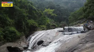 Coimbatore Falls: கோயம்புத்தூர் பக்கம் போனால் மறக்காமல் இந்த அருவிகளுக்கு விசிட் அடியுங்கள்