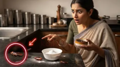 சமையலறையில் கரப்பான் பூச்சி தொல்லையா? விரட்டியடிக்க இந்த 5 இயற்கை வழிகள் போதும்!