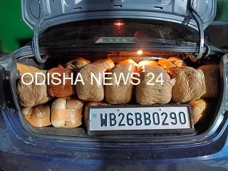 ୩ କୁଇଣ୍ଟାଳ ରୁ ଉର୍ଦ୍ଧ୍ୱ ଗଞ୍ଜେଇ ଜବତ : ମାଫିଆ ଫେରାର