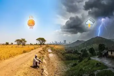 ऑगस्टनंतर सप्टेंबरही कोरडा? राज्यावर दुष्काळाचे सावट