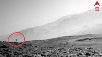 NASA Mars Image: মঙ্গলগ্রহে ভেসে বেড়াচ্ছে জেলিফিশ? NASA-র ছবি ঘিরে শোরগোল