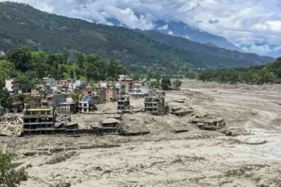Nepal flood sweeps elephant herd to India? Viral video makes false claim