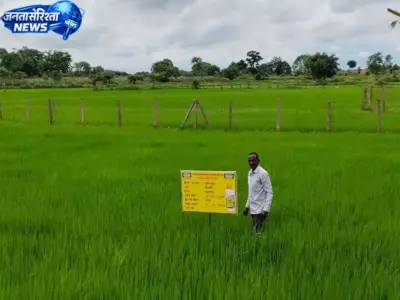 नैनो यूरिया और नैनो डीएपी का उपयोग कम लागत में ज्यादा उत्पादन