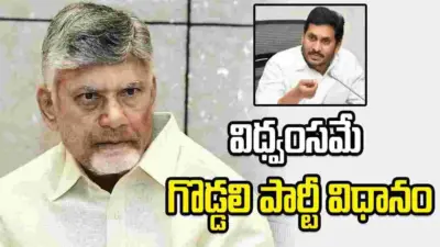 గొడ్డలి పార్టీ అన్నింట్లోనూ క్రెడిట్ చోరీకి యత్నిస్తోంది: సీఎం చంద్రబాబు