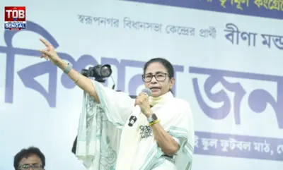 বিধানসভা ভোটে ভরাডুবির পর সংগঠনকে নতুন করে ঢেলে সাজালেন মমতা বন্দ্যোপাধ্যায়