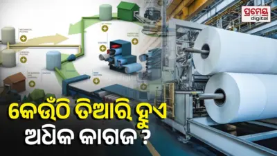 Top Paper Producing Country : ବିଶ୍ୱରେ ସବୁଠାରୁ ଅଧିକ କାଗଜ କେଉଁଠାରେ ଉତ୍ପାଦିତ ହୁଏ, ଏହି ତାଲିକାରେ ଭାରତର ସ୍ଥାନ କେତେ?