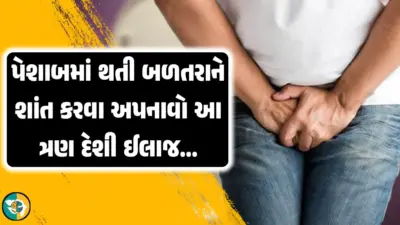 પેશાબમાં થતી બળતરાને શાંત કરવા આ 3 દેશી ઈલાજ અપનાવો, તરત જ મળશે આરામ.!
