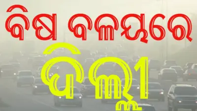 ବିଷ ବଳୟରେ ଦିଲ୍ଲୀ: ପ୍ରତି ଚାରିଜଣରେ ଜଣକୁ ନେଉଛି ପ୍ରଦୂଷଣ