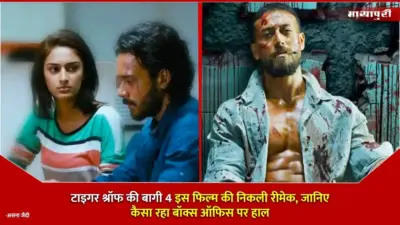 Baaghi 4 is Remake of Which Movie: टाइगर श्रॉफ की बागी 4 इस फिल्म की निकली रीमेक, जानिए कैसा रहा बॉक्स ऑफिस पर हाल