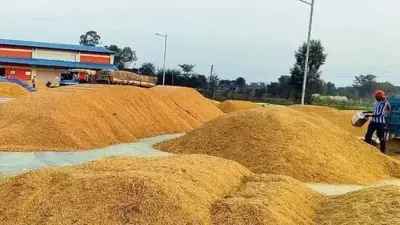 రూ.5000 దాటిన వడ్ల ధర