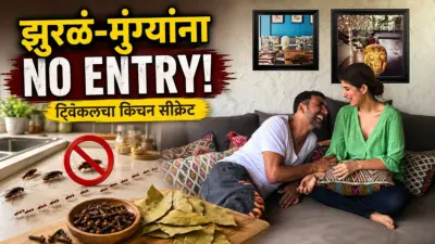 अक्षय कुमारच्या घरात झुरळं-मुंग्यांना नो एंट्री! ट्विंकल खन्ना वापरते 'या' २ घरगुती गोष्टी