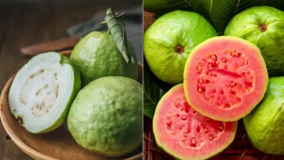 White Guava vs Red Guava : తెల్ల జామా? ఎర్ర జామా? షుగర్ కంట్రోల్కు ఏది బెస్ట్..?