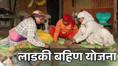 Ladki Bahin Yojana: 80 लाख नाम लाडकी बहिण योजना से हटे, क्या भरे जाएंगे नए फॉर्म?