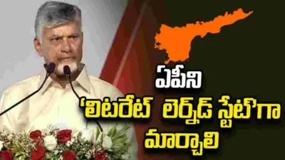 2027 నాటికి వందశాతం అక్షరాస్యతే లక్ష్యం.. కలెక్టర్లకు సీఎం చంద్రబాబు దిశానిర్దేశం