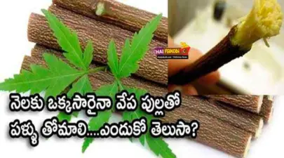 నెలకు ఒక్కసారైనా వేప పుల్లతో పళ్లు తోమితే ఏమవుతుందో తెలుసా?