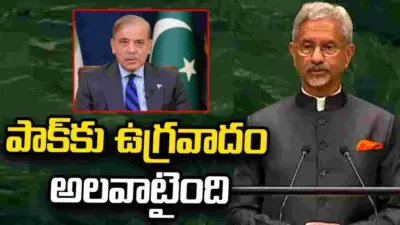 పాక్కు ఉగ్రవాదం అలవాటైంది: విదేశీ వ్యవహారాల శాఖ మంత్రి జైశంకర్