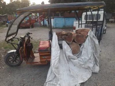 সেগুন কাঠ পাচারের ছক বানচাল করল বনদপ্তর।