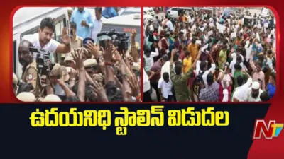 Udhayanidhi Stalin: ఉదయనిధి స్టాలిన్ విడుదల.. కార్యకర్తలు సంబరాలు