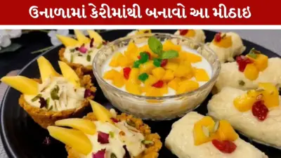 મેંગો મલાઈ રોલથી લઈને ક્રંચ સિમ્ફની સુધી, આ સીઝનમાં ટ્રાય કરો કેરીની આ 4 યુનિક મીઠાઈઓ