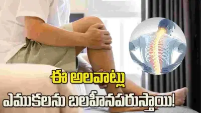 కాల్షియం లోపమే కాదు.. ఈ అలవాట్లు కూడా ఎముకలను బలహీనపరుస్తాయి!