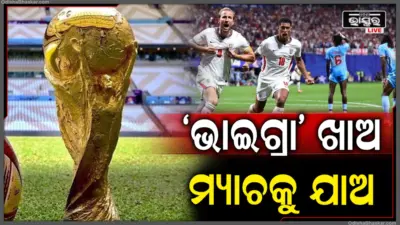 ମ୍ୟାଚ ପୂର୍ବରୁ 'ଭାଇଗ୍ରା' ଖାଇବା ପାଇଁ ଇଂଲଣ୍ଡ ଖେଳାଳିଙ୍କୁ ପରାମର୍ଶ!