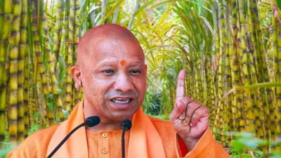UP News: CM योगी का बड़ा फैसला, GPS से होगी माल ढुलाई की निगरानी, गन्ना किसानों को नहीं झेलना होगा नुकसान