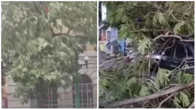 প্রবল ঝড়ের তাণ্ডবে লণ্ডভণ্ড কলকাতা! বাংলায় মৃত ৭, ক্ষতিপূরণ ঘোষণা মুখ্যমন্ত্রী শুভেন্দুর