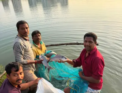 Mushkin lake in Narsingi recovers after freshwater inflow boost