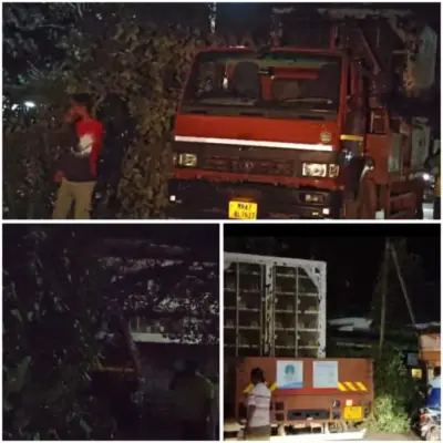 सीएनजी ट्रकच्या धडकेत फांदी रिक्षावर कोसळली; मोठा अनर्थ टळला