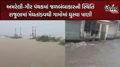 Gujarat Rain : અમરેલી-ગીર પંથકમાં મેઘતાંડવ, ભારે વરસાદથી પૂરની સ્થિતિ ગંભીર, ડેમ ઓવરફ્લો થતાં તંત્ર એલર્ટ