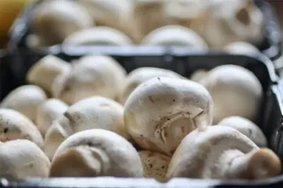benefits of mushrooms: कौन सा मशरूम और चीज़ सेहत के लिए सबसे अच्छा है?