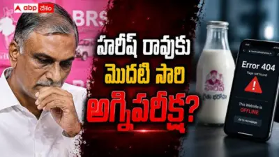 Harish Rao Milchy Milk Controversy: హరీష్ రావు చుట్టూ ముదురుతున్న పాల రాజకీయం - మిల్చీమిల్క్పై సమాధానం చెప్పలేరా?