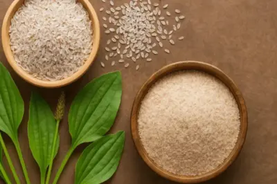 Isabgol Benefits: Is Psyllium Husk A One-Stop-Fix For All Bloating And Digestion Issues? Health Expert Shares Opinion