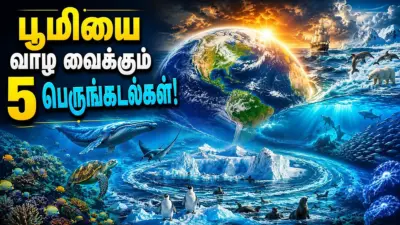 ஏன் பெருங்கடல்களை பாதுகாக்க வேண்டும்? பூமியின் நீலப் புரட்சியின் கதை!