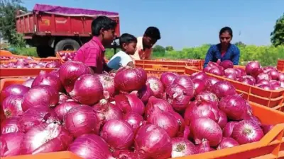 భారీగా పడిపోయిన ఉల్లి రేట్లు