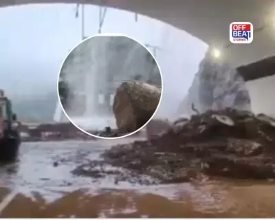 મહારાષ્ટ્રમાં ભારે વરસાદથી હાહાકાર!: ભૂસ્ખલનથી મુંબઈ-પુણે માર્ગ બંધ, યુનિવર્સિટીની તમામ પરીક્ષાઓ રદ