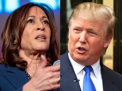 US Elections Impact: Indian Economy Rise or Fall?
