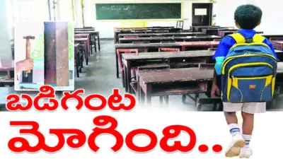 Peddapalli : బడిగంట మోగింది...