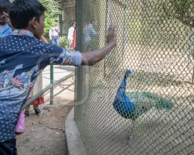 പക്ഷിപ്പനി സ്ഥിരീകരിച്ചു; ചെന്നൈ വണ്ടലൂര് മൃഗശാല രണ്ട് ദിവസത്തേക്ക് അടച്ചു