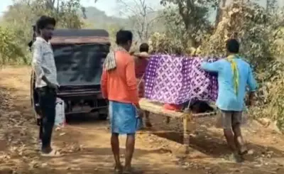ଗାଁକୁ ନାହିଁ ରାସ୍ତା: ଖଟିଆରେ ପ୍ରସୂତୀ ବୁହା