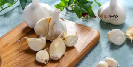 പ്രതിരോധശേഷി കൂട്ടണോ? വെറുംവയറ്റില് ഈ ചെറിയ ശീലം മാറ്റിമറിക്കും നിങ്ങളുടെ ആരോഗ്യം