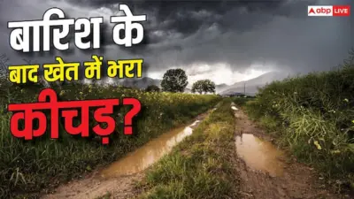 Rainy Season Farming Safety Tips : बारिश के बाद खेत में भर गया है कीचड़? ये गलती पड़ सकती है जान पर भारी