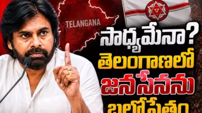 Pawan Kalyan : పవన్ వేలు పెట్టడం కరెక్టేనా? అసలు కారణం అదేనా?